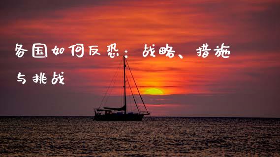 各国如何反恐：战略、措施与挑战_https://m.ycdhulan.com_理财产品_第1张
