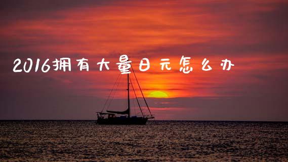 2016拥有大量日元怎么办_https://m.ycdhulan.com_财经要闻_第1张
