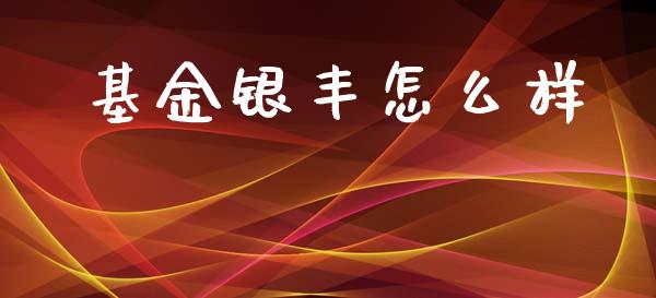 基金银丰怎么样_https://m.ycdhulan.com_理财产品_第1张