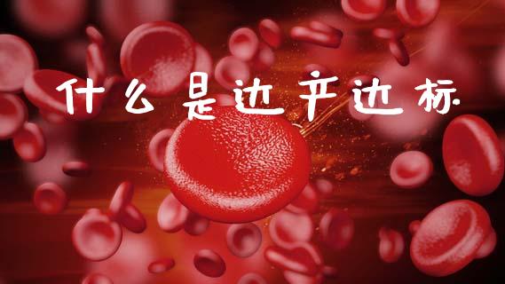 什么是达产达标_https://m.ycdhulan.com_期货交易_第1张