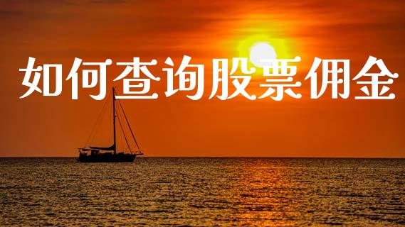 如何查询股票佣金_https://m.ycdhulan.com_股市在线_第1张
