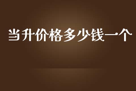 当升价格多少钱一个_https://m.ycdhulan.com_股市在线_第1张