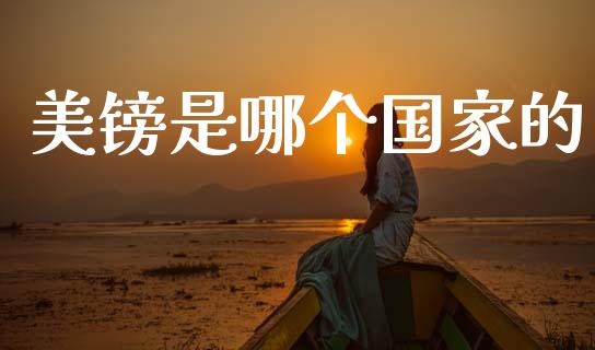 美镑是哪个国家的_https://m.ycdhulan.com_证券新闻_第1张