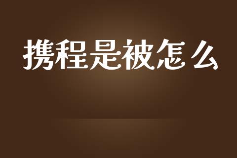 携程是被怎么_https://m.ycdhulan.com_理财产品_第1张