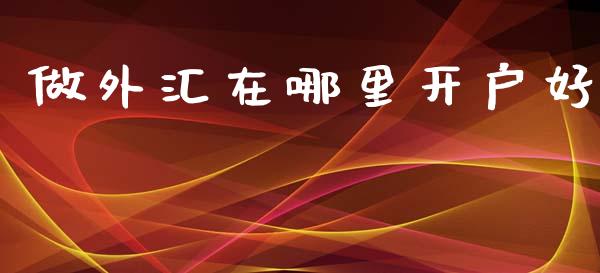 做外汇在哪里开户好_https://m.ycdhulan.com_理财产品_第1张