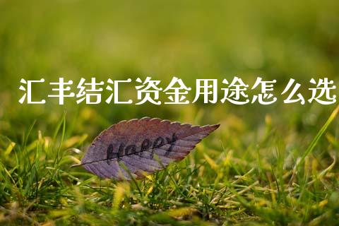 汇丰结汇资金用途怎么选_https://m.ycdhulan.com_证券新闻_第1张
