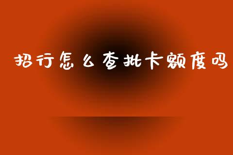 招行怎么查批卡额度吗_https://m.ycdhulan.com_财经要闻_第1张