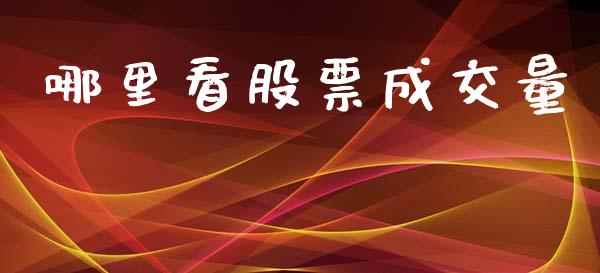哪里看股票成交量_https://m.ycdhulan.com_理财产品_第1张