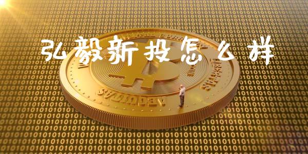 弘毅新投怎么样_https://m.ycdhulan.com_理财产品_第1张