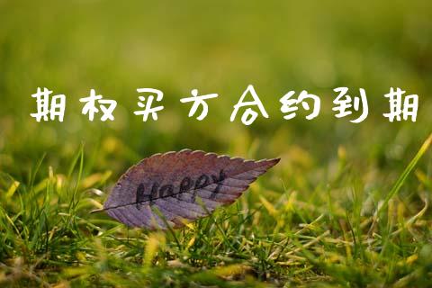 期权买方合约到期_https://m.ycdhulan.com_国际金融_第1张