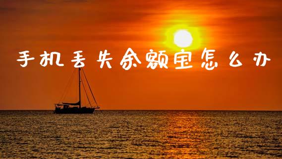 手机丢失余额宝怎么办_https://m.ycdhulan.com_理财产品_第1张