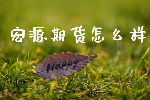 宏源期货怎么样_https://m.ycdhulan.com_证券新闻_第1张