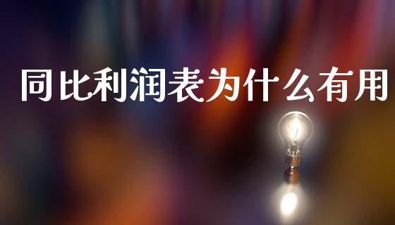 同比利润表为什么有用_https://m.ycdhulan.com_财经要闻_第1张