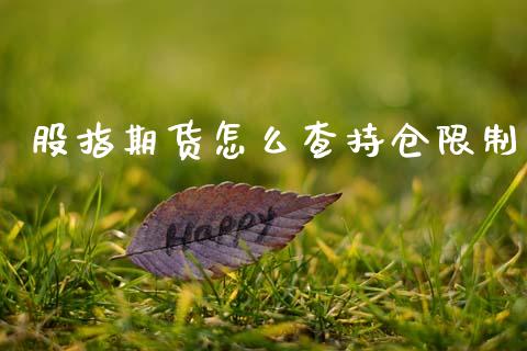 股指期货怎么查持仓限制_https://m.ycdhulan.com_财经要闻_第1张