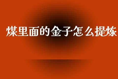 煤里面的金子怎么提炼_https://m.ycdhulan.com_理财产品_第1张