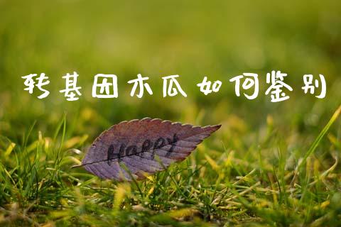 转基因木瓜如何鉴别_https://m.ycdhulan.com_国际金融_第1张