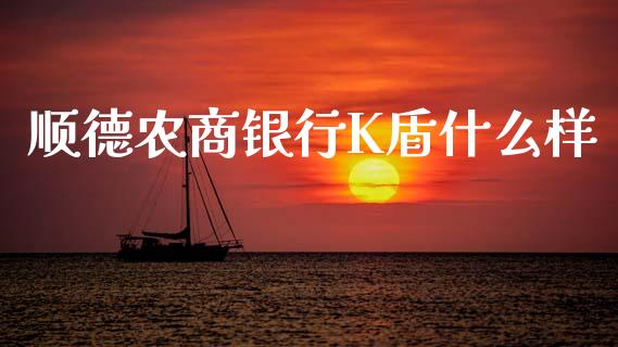 顺德农商银行K盾什么样_https://m.ycdhulan.com_股市在线_第1张