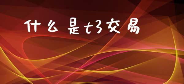 什么是t3交易_https://m.ycdhulan.com_财经要闻_第1张