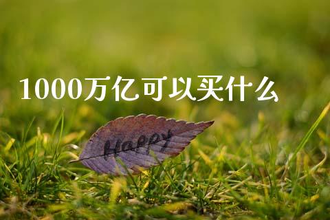 1000万亿可以买什么_https://m.ycdhulan.com_期货交易_第1张