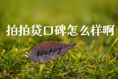拍拍贷口碑怎么样啊_https://m.ycdhulan.com_证券新闻_第1张