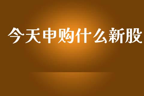 今天申购什么新股_https://m.ycdhulan.com_财经要闻_第1张
