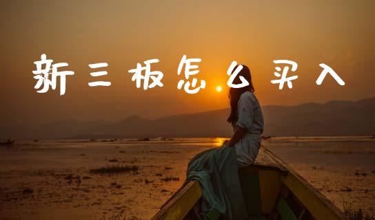 新三板怎么买入_https://m.ycdhulan.com_股市在线_第1张