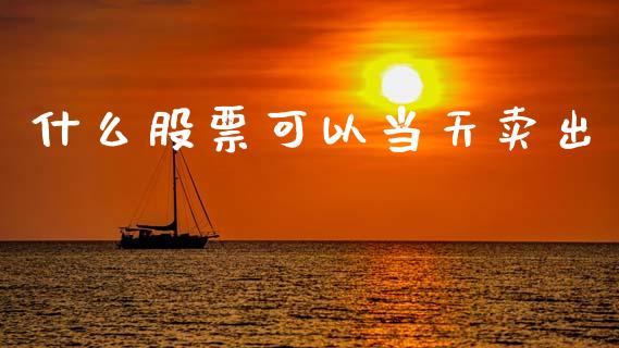 什么股票可以当天卖出_https://m.ycdhulan.com_理财产品_第1张