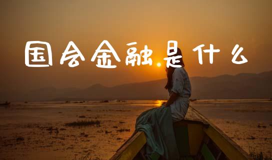国会金融是什么_https://m.ycdhulan.com_期货交易_第1张