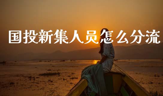 国投新集人员怎么分流_https://m.ycdhulan.com_财经要闻_第1张