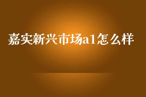 嘉实新兴市场a1怎么样_https://m.ycdhulan.com_理财产品_第1张