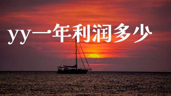 yy一年利润多少_https://m.ycdhulan.com_国际金融_第1张