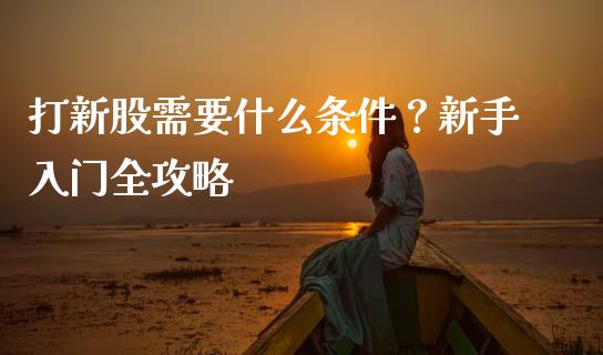 打新股需要什么条件？新手入门全攻略_https://m.ycdhulan.com_期货交易_第1张
