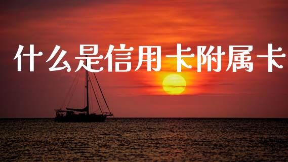 什么是信用卡附属卡_https://m.ycdhulan.com_财经要闻_第1张