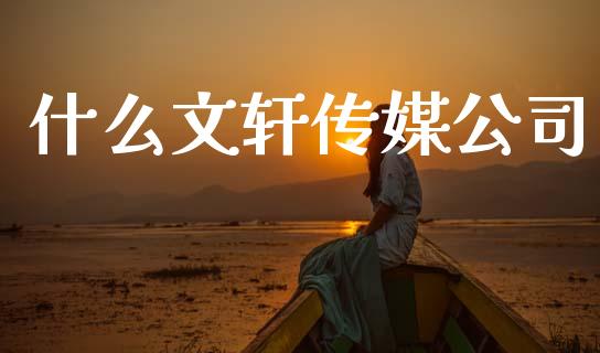 什么文轩传媒公司_https://m.ycdhulan.com_股市在线_第1张