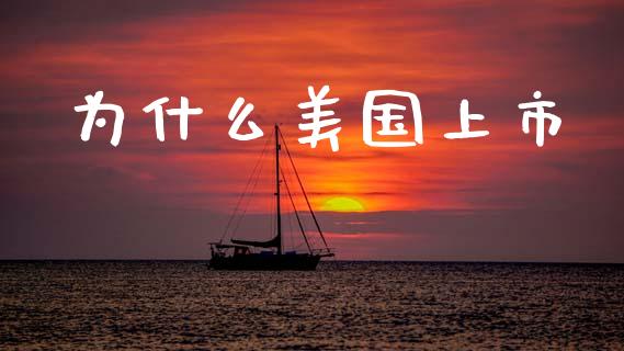 为什么美国上市_https://m.ycdhulan.com_理财产品_第1张