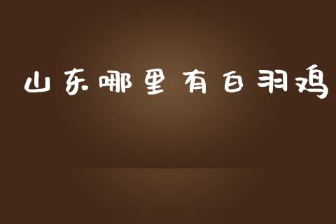 山东哪里有白羽鸡_https://m.ycdhulan.com_理财产品_第1张