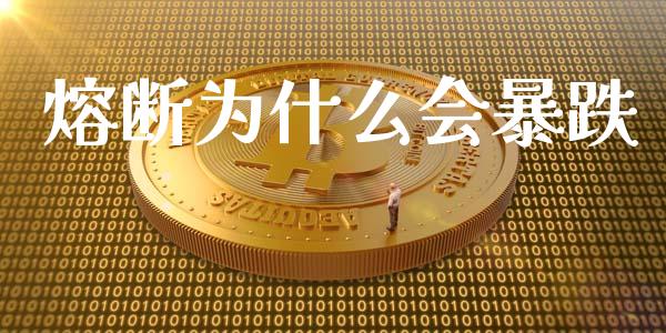 熔断为什么会暴跌_https://m.ycdhulan.com_理财产品_第1张