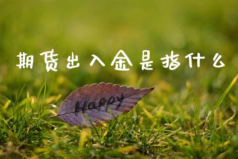 期货出入金是指什么_国际金融_第1张_财经要闻_股市在线_理财产品_国际金融 期货出入金是指什么_https://m.ycdhulan.com_国际金融_第1张