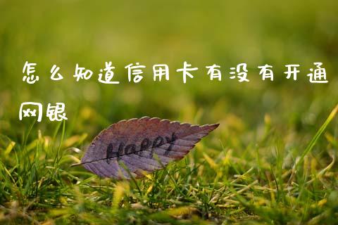 怎么知道信用卡有没有开通网银_https://m.ycdhulan.com_国际金融_第1张