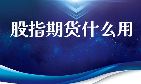 股指期货什么用_https://m.ycdhulan.com_财经要闻_第1张