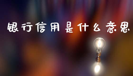 银行信用是什么意思_https://m.ycdhulan.com_国际金融_第1张