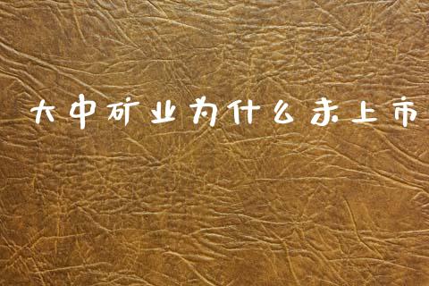 大中矿业为什么未上市_https://m.ycdhulan.com_财经要闻_第1张