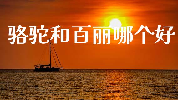 骆驼和百丽哪个好_https://m.ycdhulan.com_股市在线_第1张