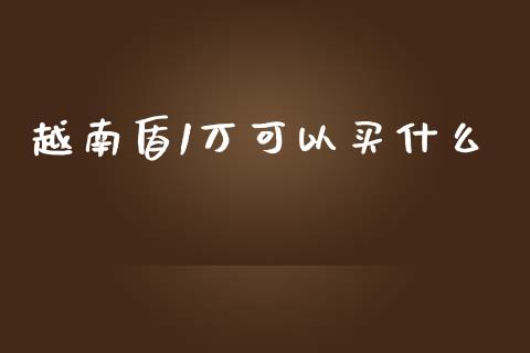 越南盾1万可以买什么_https://m.ycdhulan.com_理财产品_第1张