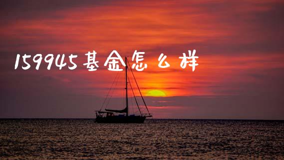 159945基金怎么样_https://m.ycdhulan.com_财经要闻_第1张