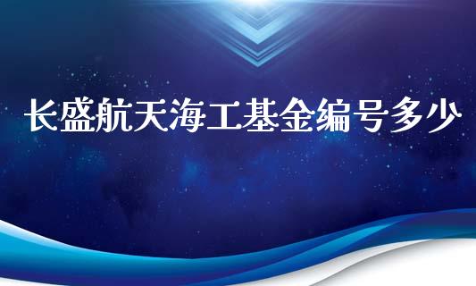 长盛航天海工基金编号多少_https://m.ycdhulan.com_证券新闻_第1张