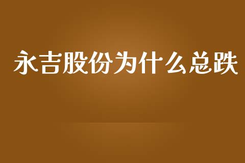 永吉股份为什么总跌_https://m.ycdhulan.com_国际金融_第1张