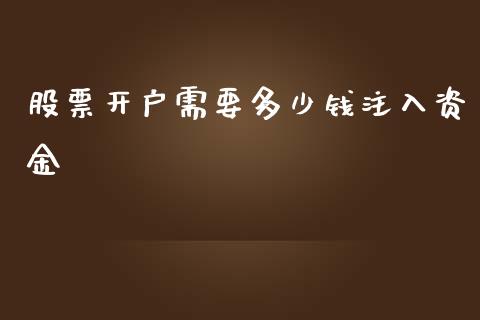 股票开户需要多少钱注入资金_https://m.ycdhulan.com_股市在线_第1张