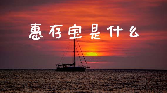 惠存宝是什么_https://m.ycdhulan.com_证券新闻_第1张