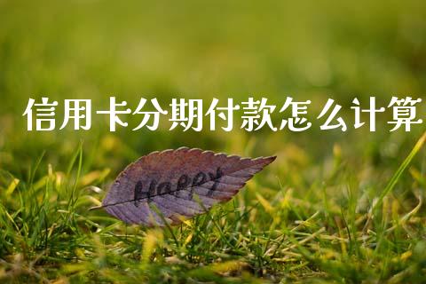 信用卡分期付款怎么计算_https://m.ycdhulan.com_股市在线_第1张